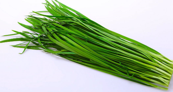 Cebollino